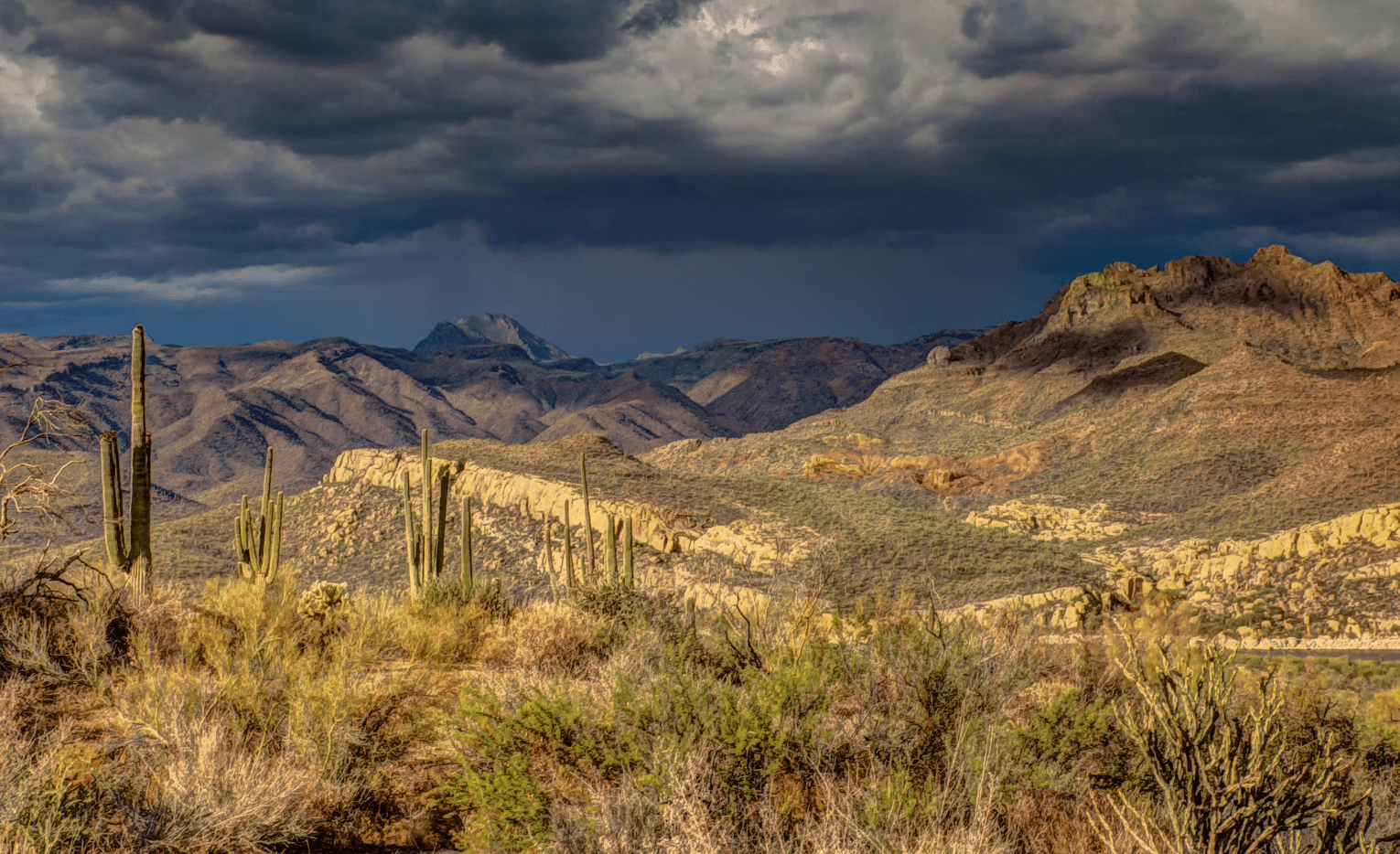 PadSplits in Arizona: A Deep Dive into Phoenix’s Shared Housing Potential