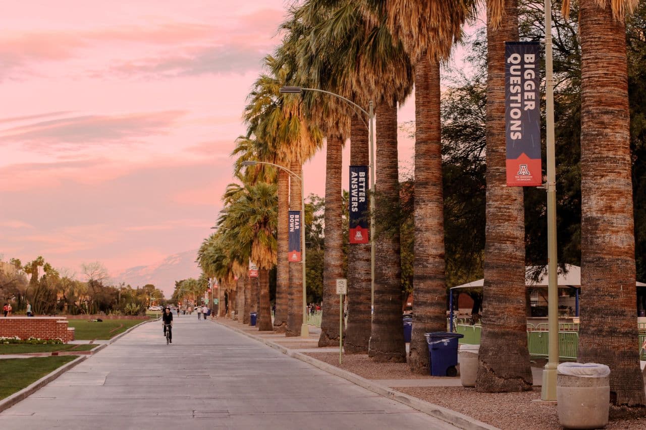 Best Neighborhoods To Invest In Tucson